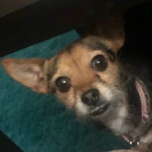 Meet your Posher, Malia